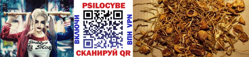 Псилоцибиновые грибы GOLDEN TEACHER Юрюзань